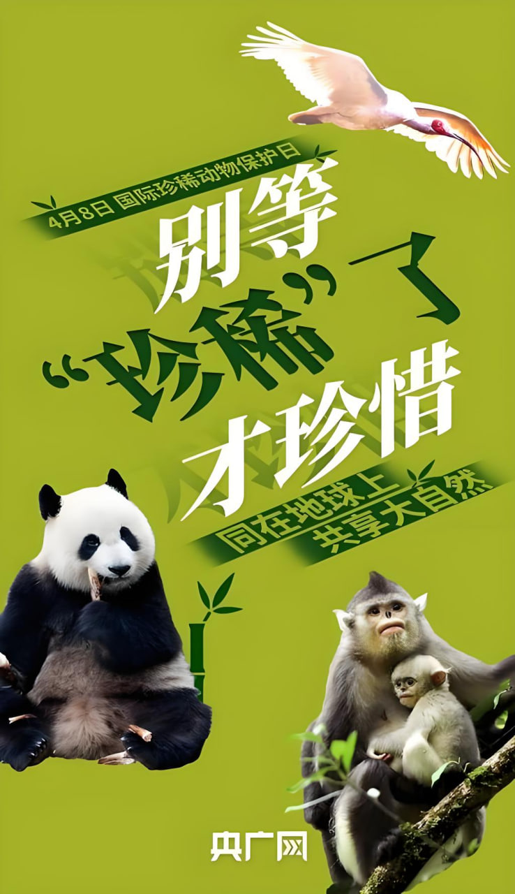 排名第三动漫